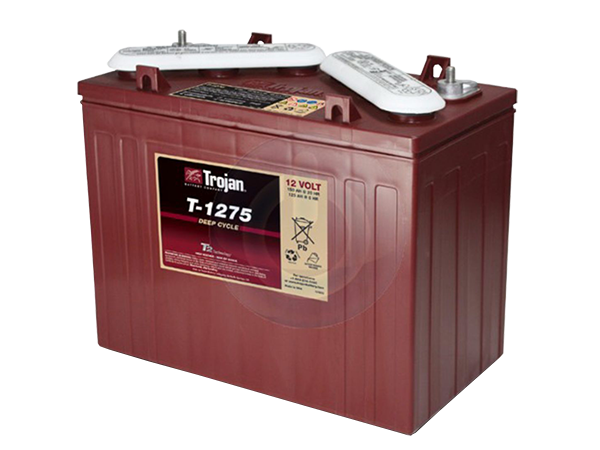 golf cart maintenance, laguna woods golf cart service, battery service